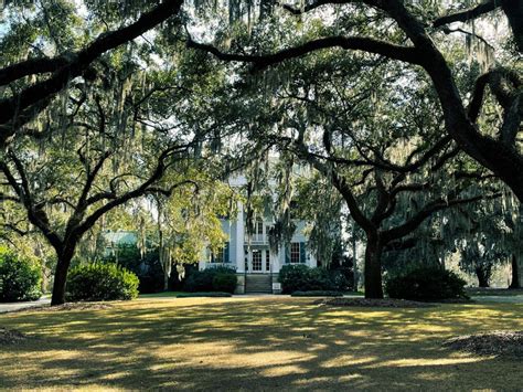 7 Best Plantations in Charleston to visit in 2023 - The Traveling Drifter