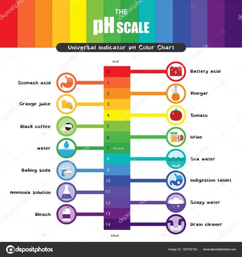 The Ph Scale Universal Indicator Ph Color Chart Diagram — Stock Vector | Images and Photos finder