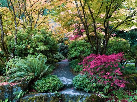 Bellevue Botanical Garden | Bellevue, WA