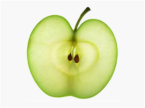 Pip Of An Apple, HD Png Download , Transparent Png Image - PNGitem