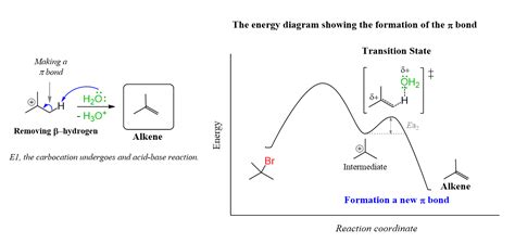 Draw The Products Of Each Reaction And Indicate Their Stereochemistry | #The Expert