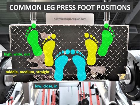 Leg Press Machine Muscles Worked