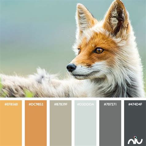 Fox Color Palette | Nature color palette, Paint color schemes, Color palette design