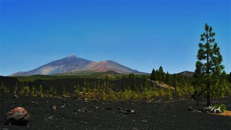 Weather Tenerife in July 2021: Temperature & Climate