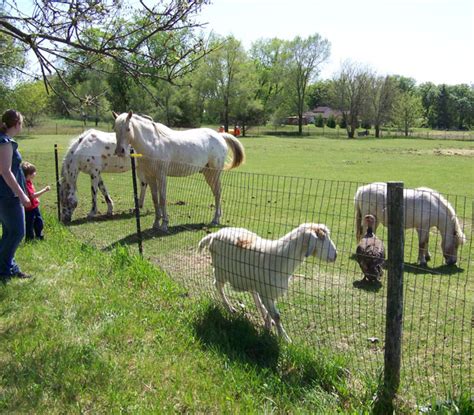 Polyculture Farming | Family, Business, Food, and Farming