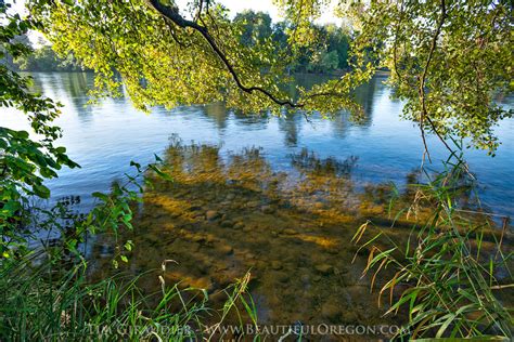 The Willamette River flowing through Eugene Oregon 103-123-144 - Oregon Photography