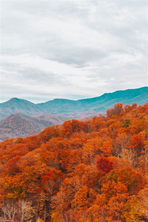 10 Smoky Mountains Attractions You NEED to Experience - Holly Habeck