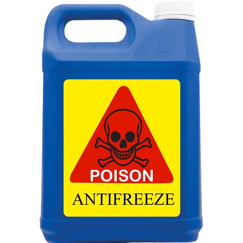 Antifreeze Poisoning in Dogs Symptoms, Treatment and Prevention | Dogs ...