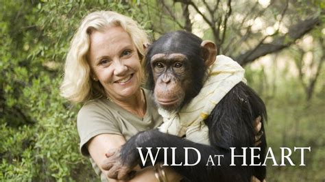 Wild at Heart (2008) - Acorn TV Series - Where To Watch