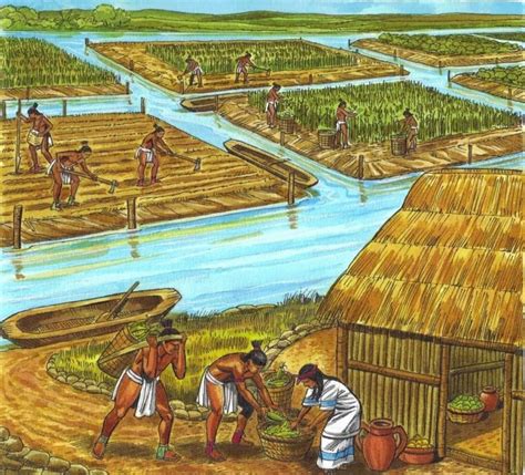 Maya Farming Methods Pictures - Farming Mania