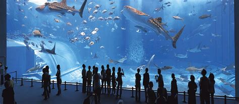 Oceanographic Museum of Monaco – French Riviera