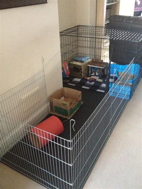 Diesels new home - Rabbits United Forum - Extending a puppy crate with ...