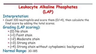 Leukocyte Alkaline Phosphatase Stain | PPT