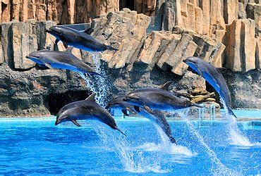 Port of Nagoya Public Aquarium - YoNinja - Restaurants, Hotels, and Reviews