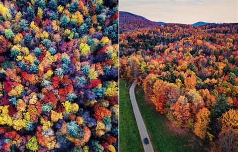 Fall Leaves In Vermont: A Travel Guide - Bright Bazaar by Will Taylor