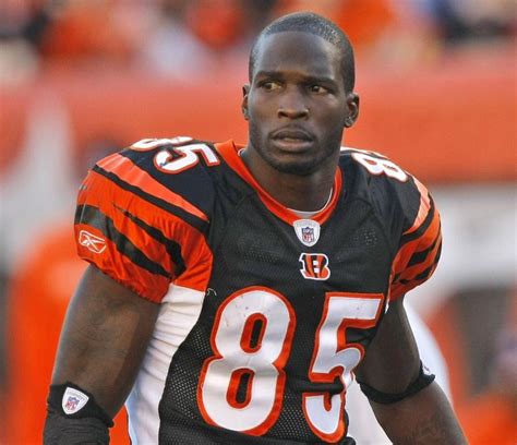 Bengals' Chad Ochocinco says Lions' Louis Delmas shouldn't try to out ...