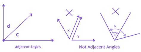 adjacent and vertical angle in maths: Definition, Types and Importance of adjacent and vertical ...