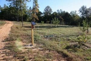 Our Electric Deer Fence is Complete – Longleaf Breeze