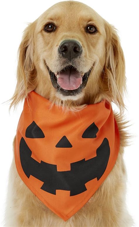 The 15 Best Simple Dog Costumes for Dogs Who Hate Halloween