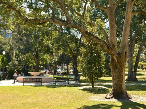 Winter Park 2021: Best of Winter Park, FL Tourism - Tripadvisor