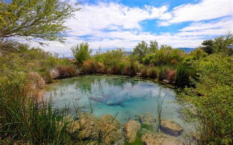 Ash Meadows National Wildlife Refuge | Outdoor Project