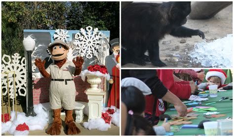 Santa Ana Zoo Snow Days - December 15th & 16th - Balancing The Chaos