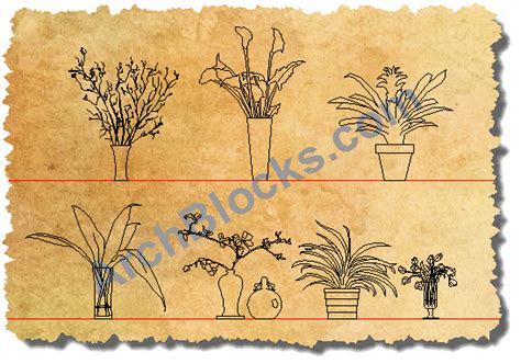 AutoCAD House Plants Symbols | CAD House Plant Blocks