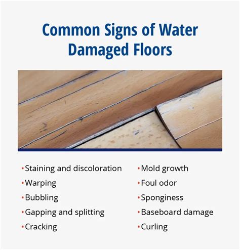 How To Identify Floor Water Damage [19 Signs + Steps To Take]