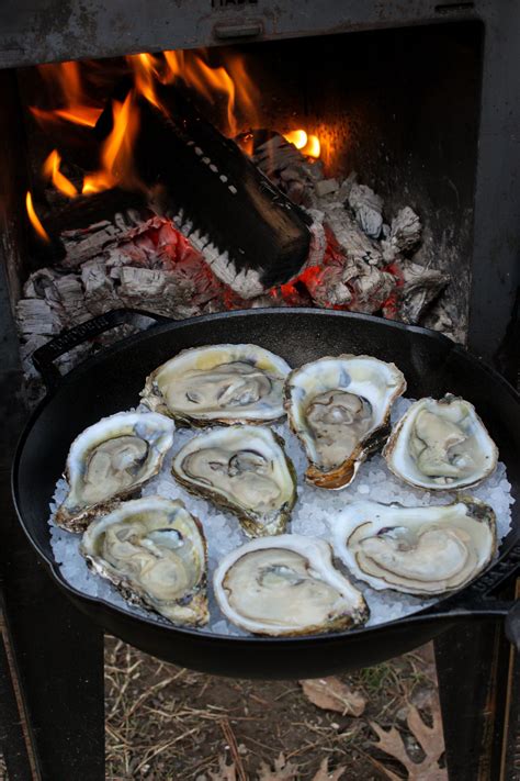 Fire Baked Oysters - Over The Fire Cooking