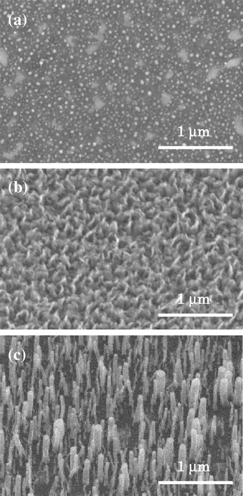 SEM images of surface morphologies of (a) Ni particles formed after ...