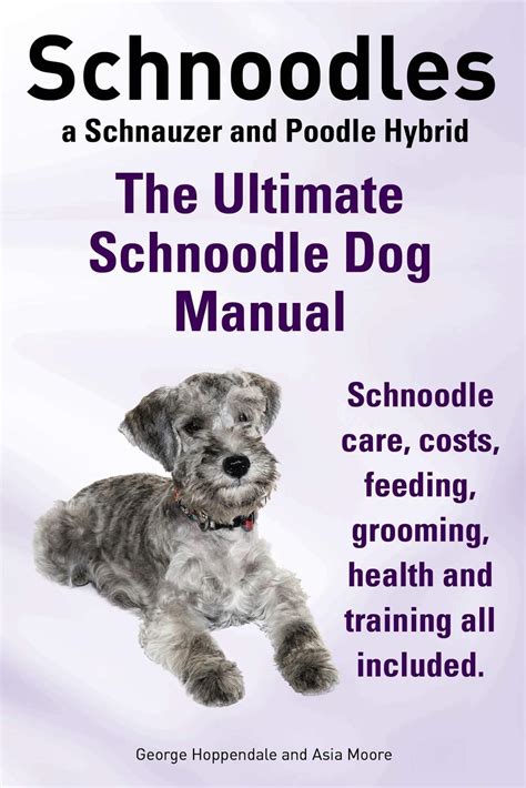 What Health Problems Do Schnoodles Have