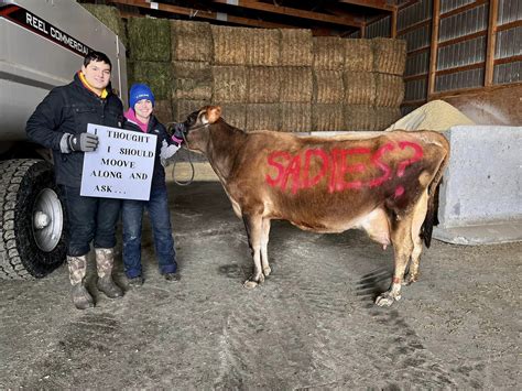 How a Jersey Cow Helped Make the Perfect Proposal | Bovine Veterinarian