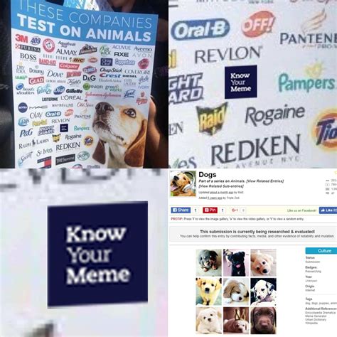 This Site Tests on Doggos | Know Your Meme | Know Your Meme