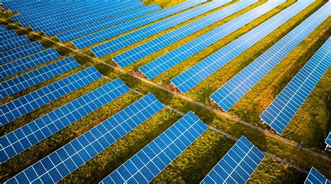 A Guide On 1 MW Solar Power Plant: Types, Cost, Pros, Cons, and More