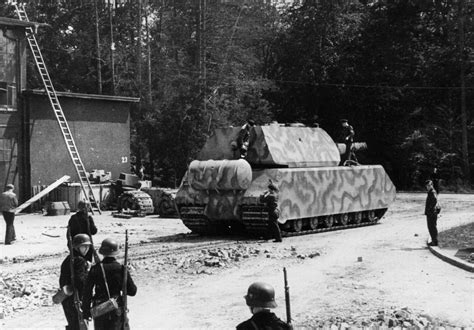 The Panzer Viii Maus The Heaviest Tank Ever Built - vrogue.co
