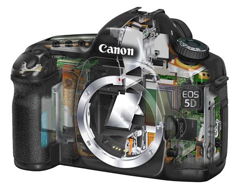 Canon EOS 5D Review: Digital Photography Review