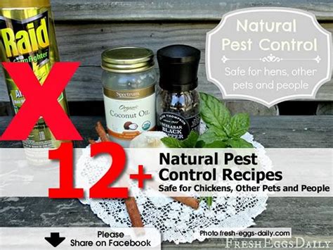 12+ Natural Pest Control Recipes - Safe for Chickens, Other Pets and People