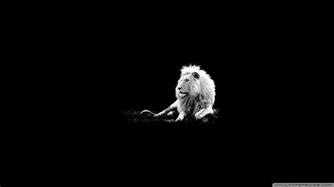 Black King Wallpapers on WallpaperDog