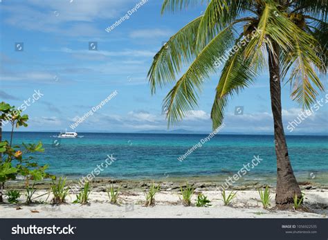 294 Leyte Beach Images, Stock Photos & Vectors | Shutterstock