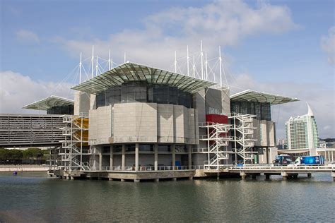 Lisbon Oceanarium | ContemporaryNomad.com