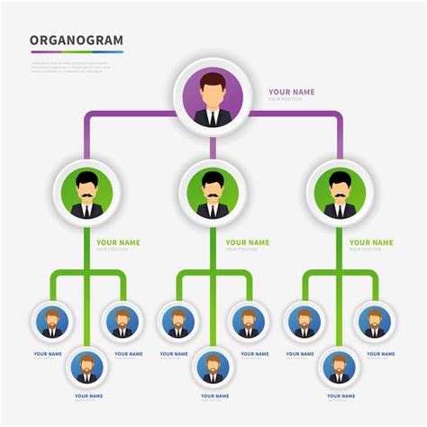 diseño vectorial moderno organogram 182611 Vector en Vecteezy