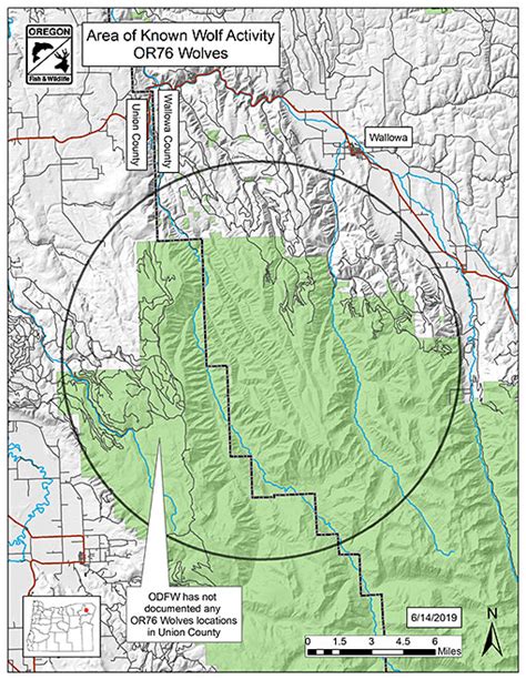 Specific Wolves and Wolf Packs in Oregon – OR76 Wolves