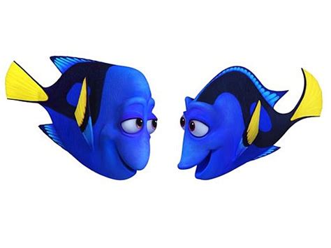 Finding Dory Characters - Pixar Photo (39440142) - Fanpop