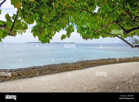 landscape the island of Biyadhoo Maldives the beach with white sand ...