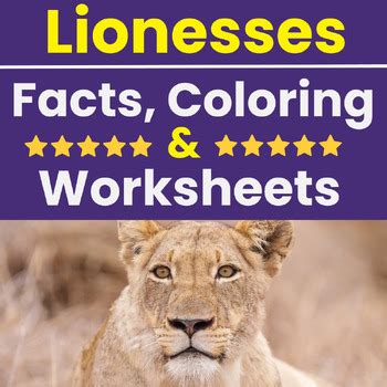 ''Lionesses'' Facts, Coloring,& Worksheets. 1st & 2nd Grade Activity ...