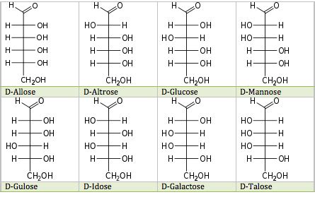 Structure Of Monosaccharides