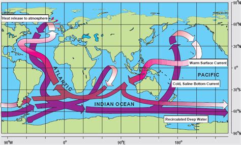 Map of Ocean Circulation | Center for Science Education