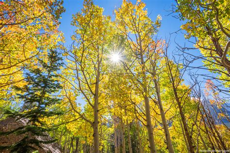 RMNP Fall Color Update | Thomas Mangan Photography Blog - The Rocky Gallery Blog