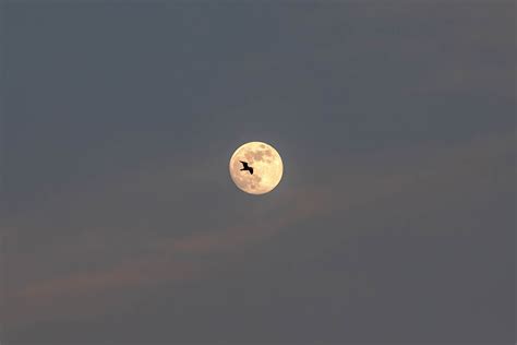 1st full moon of 2023 was a wonderful Wolf Moon worldwide (photos) | Space