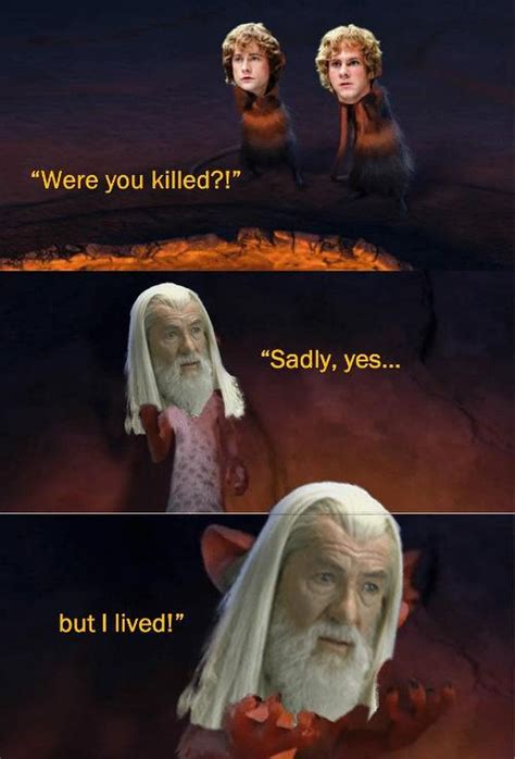 Lord of the Rings: 10 Best Gandalf Memes | ScreenRant